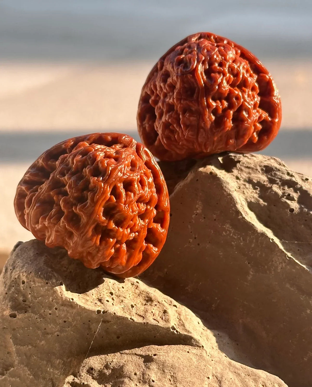 Two deeply ridged brown walnuts resting on stone in sunlight.