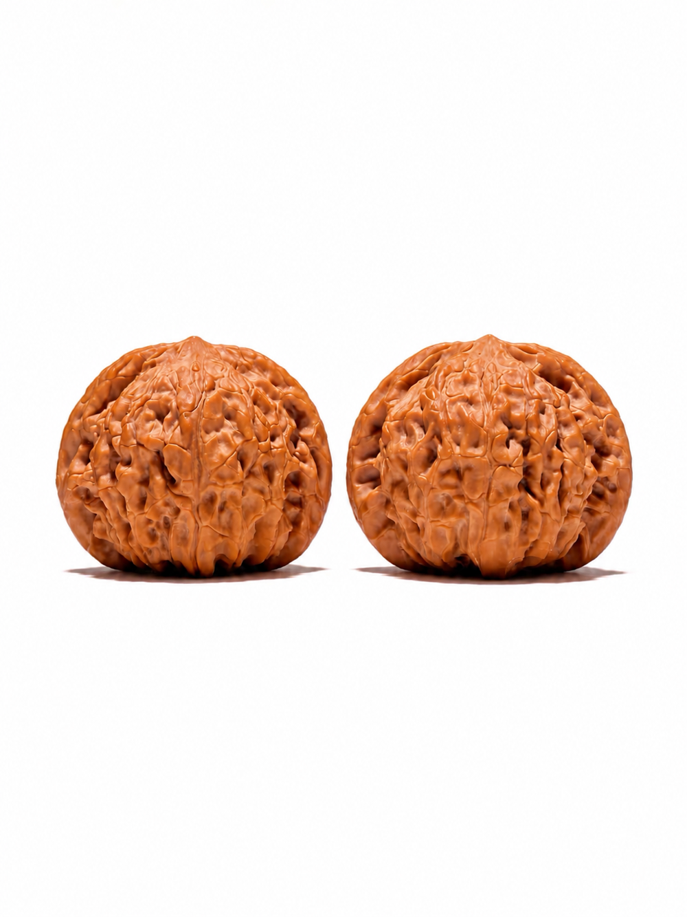 Two Lion’s Head wenwan walnuts on a white background; reference pair