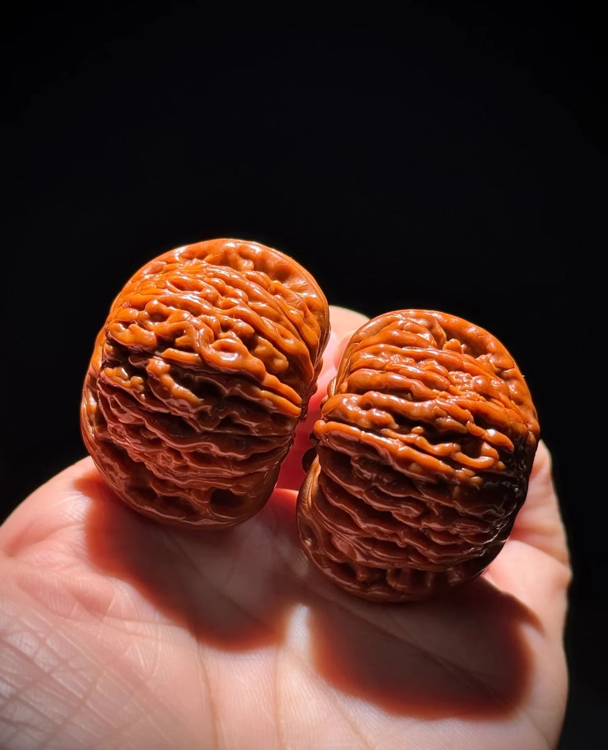 Two amber-brown wenwan walnuts resting in a palm, their ridges lit against a dark background.