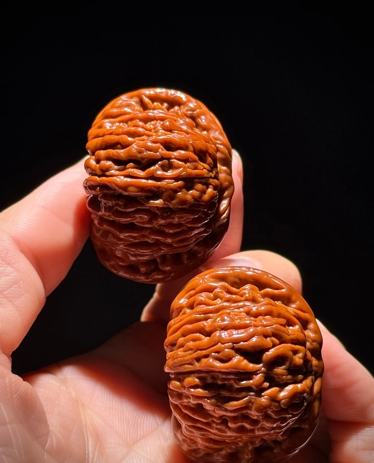 The ridged surface of two handled wenwan walnuts, held between real fingers
